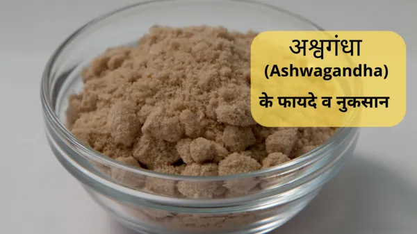 ashwagandha-ashvgandha-ke-fayde-benefits-in-hindi