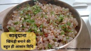 Read more about the article 9 मिनट में लाजबाब साबूदाने की खिचड़ी बनाये | Sabudana Khichdi Recipe in Hindi