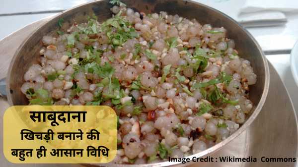 sago-sabudana-recipe-in-hindi-vidhi