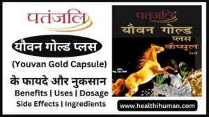 Read more about the article पतंजलि यौवन गोल्ड कैप्सूल के 9 अचूक फायदे | Patanjali Youvan Gold Plus Capsule in Hindi